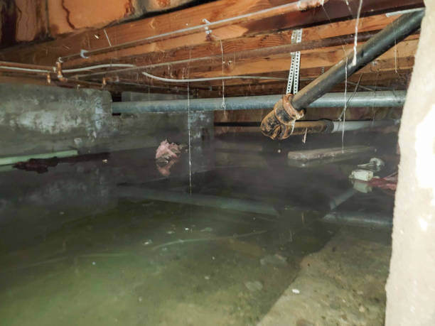 Water damage restoration experts in Converse, IN