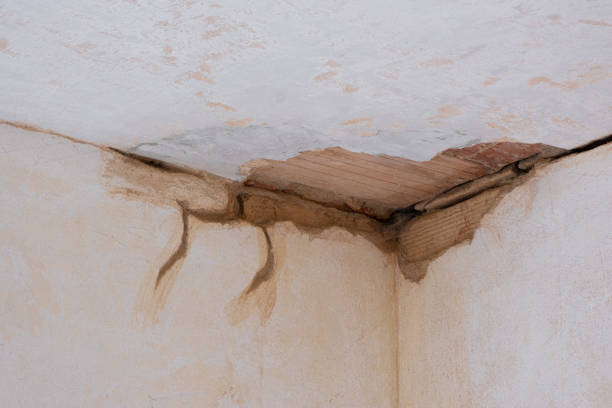 Best Water damage restoration cost  in Converse, IN