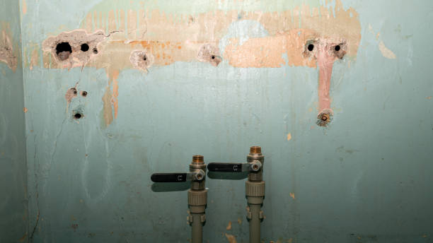 Best Emergency water damage restoration  in Converse, IN