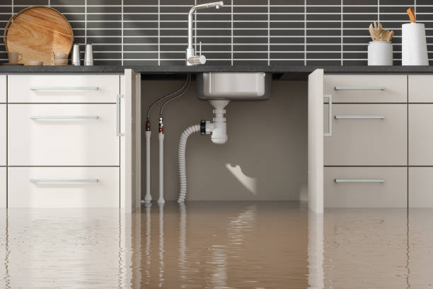 Best Water damage cleanup near me  in Converse, IN