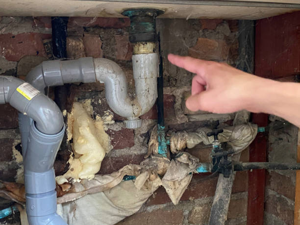 Best Fire Damage Restoration  in Converse, IN