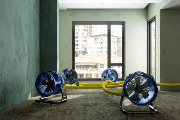 Best Water damage restoration near me  in Converse, IN